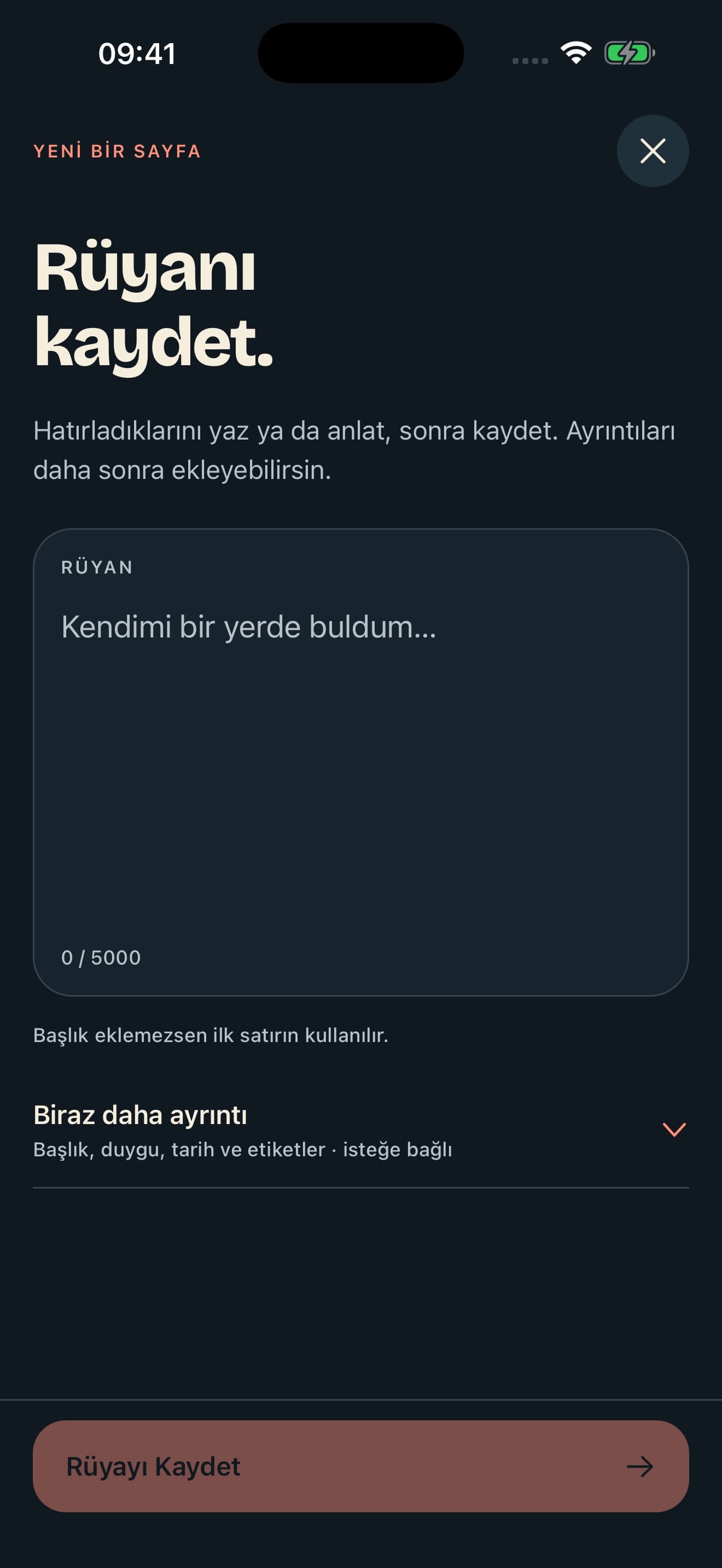 Dusora’nın Türkçe hızlı rüya kayıt ekranı